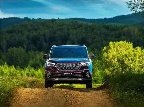 国产车秒杀直播视频下载,抢购热潮下的汽车市场新篇章